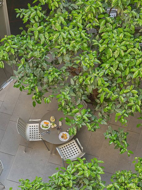 Lunch by the Orange Trees Courtyard of the Mercer Hotel Barcelona