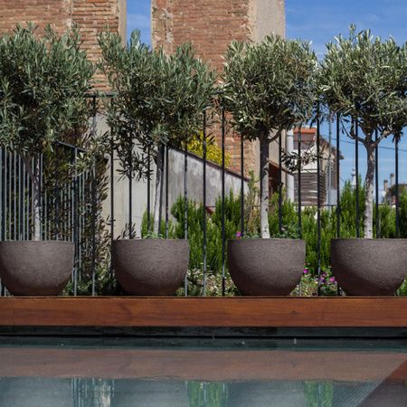 Mercer Hotel Barcelona Rooftop Pool